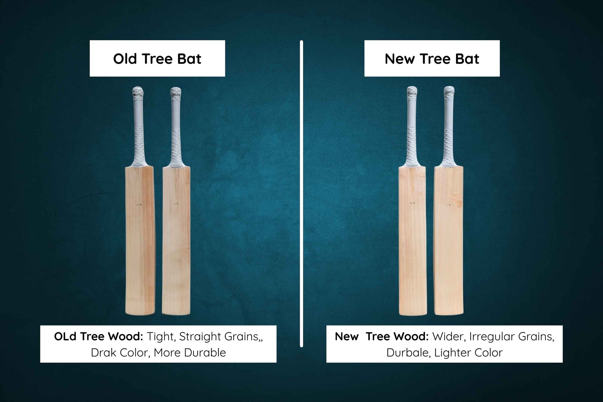 Old Tree Willow Cricket Bat VS New Tree Willow Cricket Bat