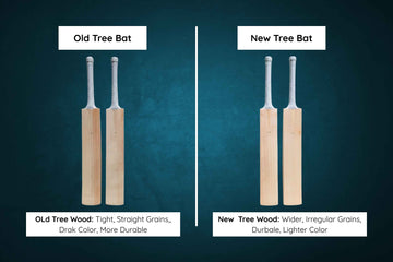 Old Tree Willow Cricket Bat VS New Tree Willow Cricket Bat