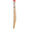 GRAY-NICOLLS GN7 Astro 1.0 English Willow Bat