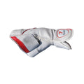 PNARRA Wicket Keeping Gloves