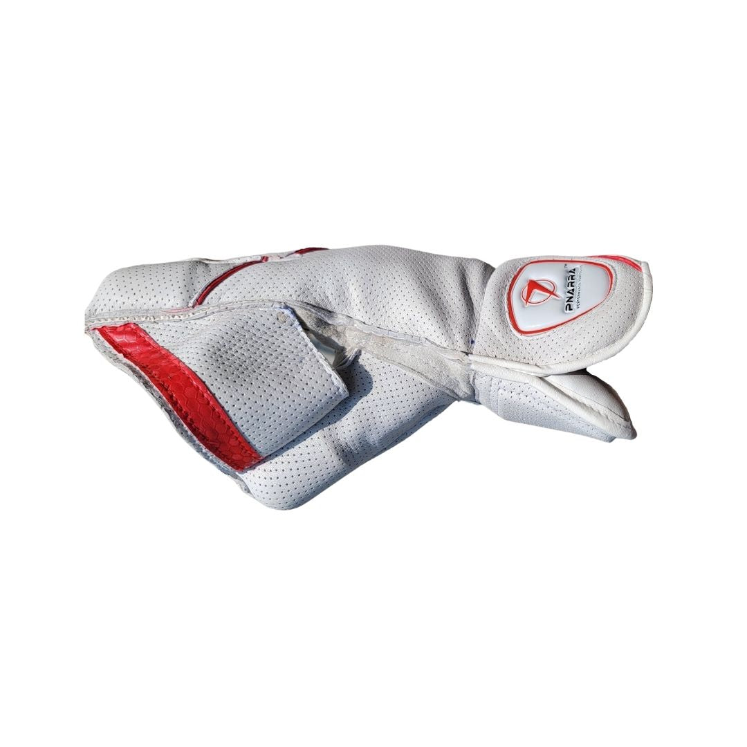 PNARRA Wicket Keeping Gloves