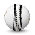 PNARRA PROLINE White Cricket Leather Balls
