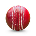 PNARRA Test Cricket Leather Ball