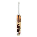 SG Century Classic English Willow Bat