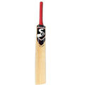 Back view of bat highlighting Kashmir Willow grain and sticker design
