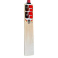 SS 281 Kashmir Willow Cricket Bat