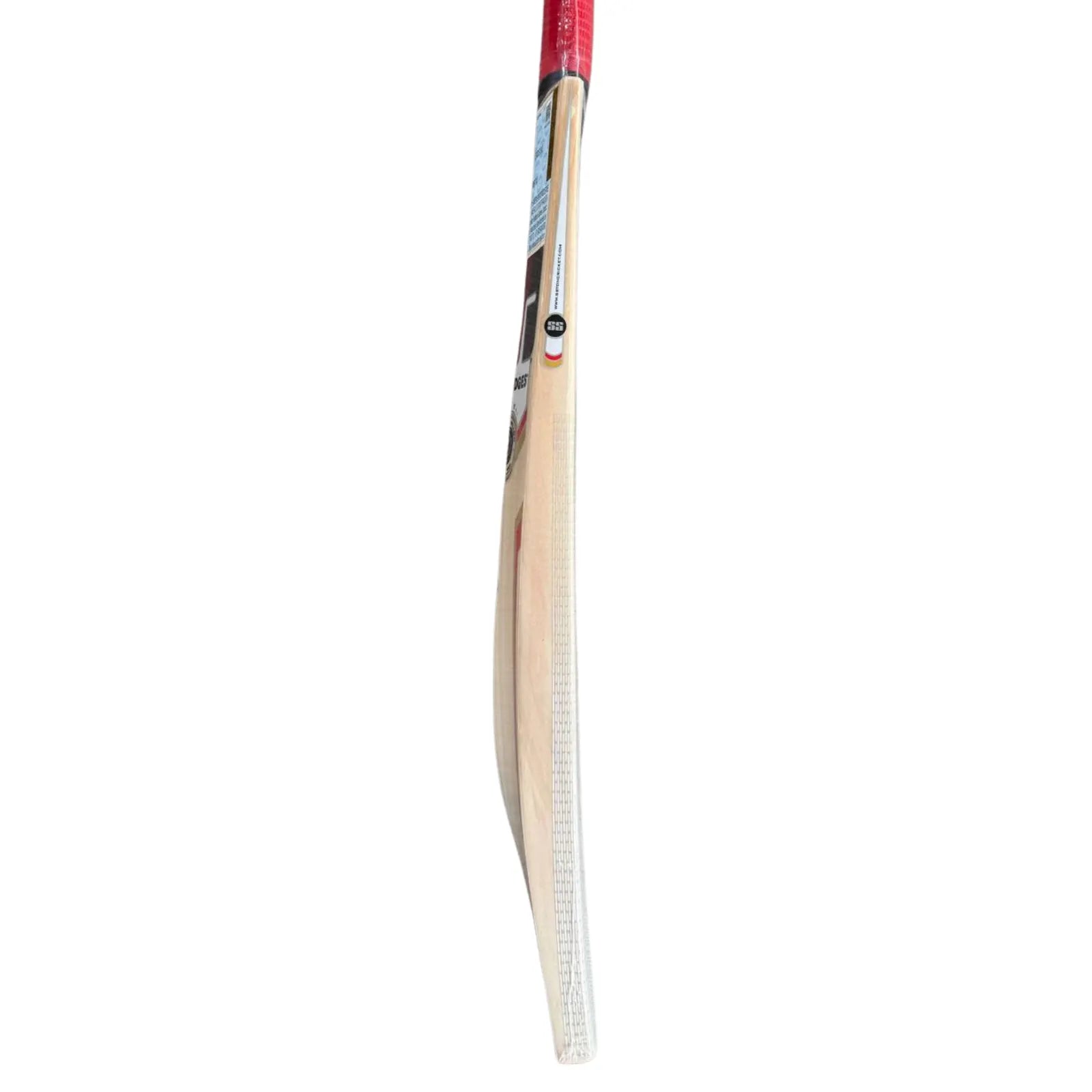 SS 281 Kashmir Willow Cricket Bat
