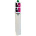 SS Josh Kashmir Willow Cricket Bat