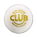 SG Club White Leather Ball
