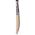 GM BRAVA 404 English Willow Cricket Bat