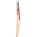 PNARRA SIGNATURE English willow cricket bat – detail view