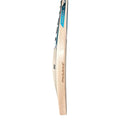 PNARRA QUANTUM English willow cricket bat – detail view