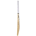 SG Player Xtreme English Willow Cricket Bat