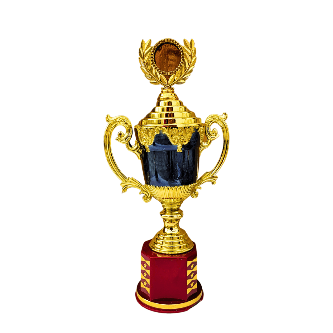 Cricket trophy with space for custom logo or engraved text – perfect for personalized awards.