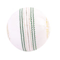 SG Club White Cricket Leather Ball